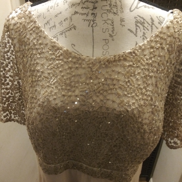 Champagne dress with sparkly lace bodice - Picture 2 of 7